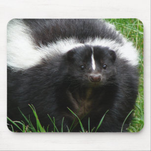 Mousepad Tapete do rato da foto da jaritataca