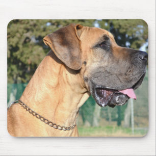 Mousepad Tapete do rato da foto de great dane