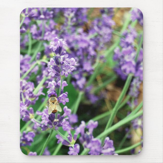 Mousepad Tapete do rato da lavanda & da abelha (Frente)