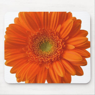 Mousepad Tapete do rato da margarida alaranjada