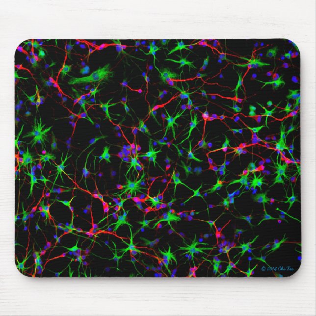 Mousepad Tapete do rato da neurociência (Frente)