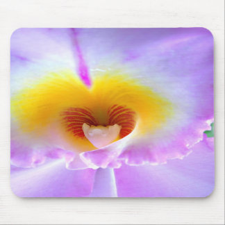 Mousepad Tapete do rato da orquídea da lavanda