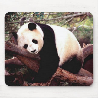 Mousepad Tapete do rato da panda do sono