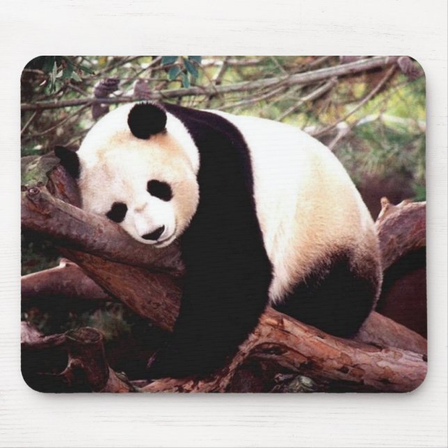 Mousepad Tapete do rato da panda do sono (Frente)