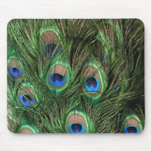 Mousepad Tapete do rato da pena do pavão