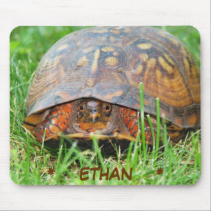Mousepad Tapete do rato da tartaruga de caixa