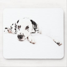 Tapete do rato Dalmatiner