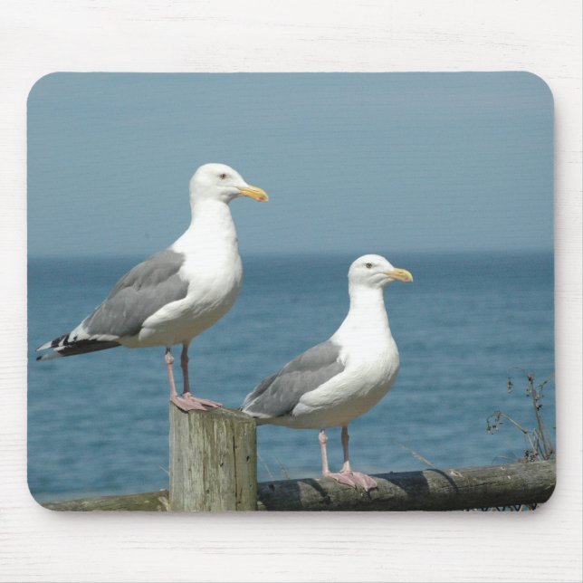 Mousepad Tapete do rato das gaivotas (Frente)