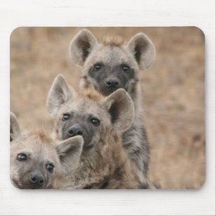 Mousepad Tapete do rato das hienas