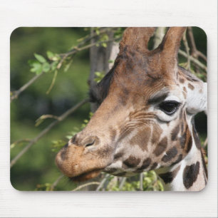 Mousepad Tapete do rato das imagens do girafa
