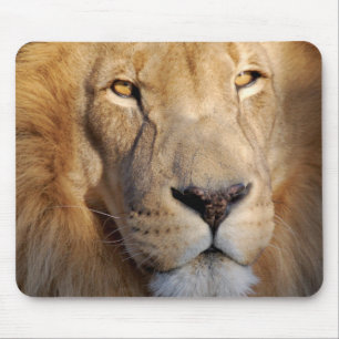 Mousepad Tapete do rato das imagens do leão
