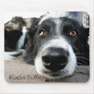 Mousepad Tapete do rato de border collie