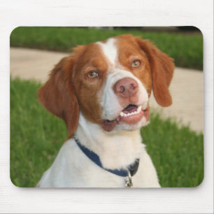 Mousepad Tapete do rato de Brittany