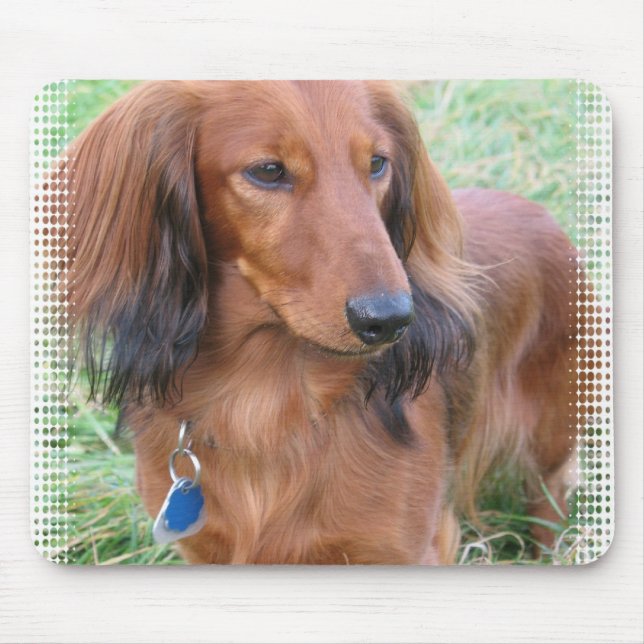 Mousepad Tapete do rato de cabelos compridos do Dachshund (Frente)
