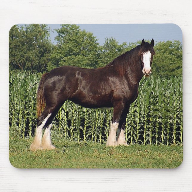 Mousepad Tapete do rato de Clydesdale (Frente)