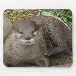Mousepad Tapete do rato de descanso da lontra