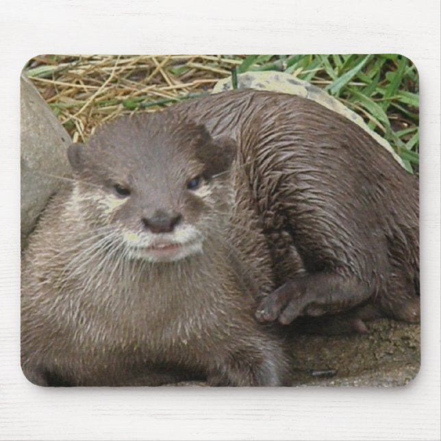 Mousepad Tapete do rato de descanso da lontra (Frente)