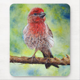 Mousepad Tapete do rato de Finchy