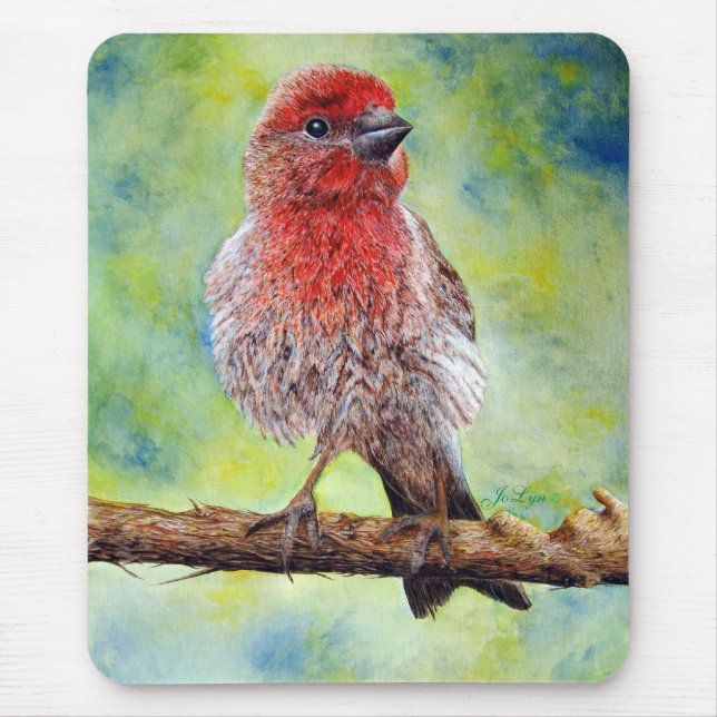 Mousepad Tapete do rato de Finchy (Frente)