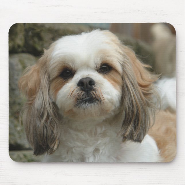 Mousepad Tapete do rato de Furface (Frente)