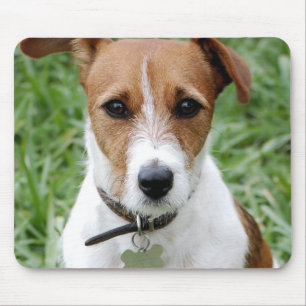 Mousepad Tapete do rato de Jack Russell Terrier