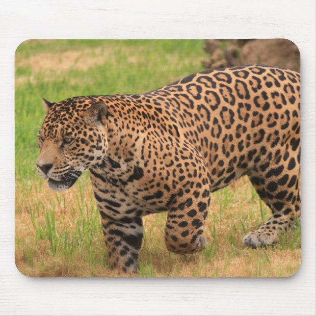 Mousepad Tapete do rato de Jaguar (Frente)