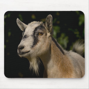 Mousepad Tapete do rato de observação da cabra
