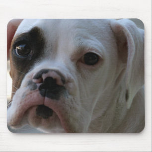Mousepad Tapete do rato de olhos pretos do cão do pugilist