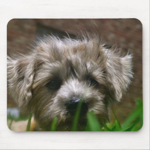 Mousepad Tapete do rato de Pupppy