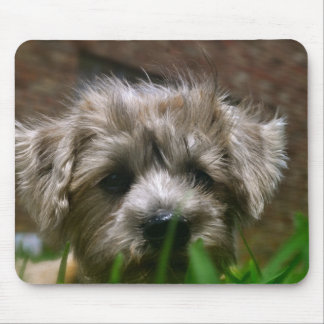 Mousepad Tapete do rato de Pupppy