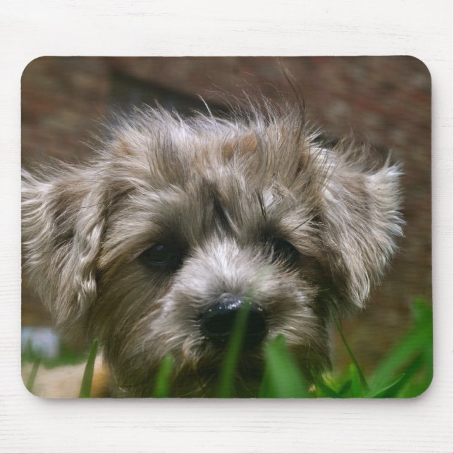 Mousepad Tapete do rato de Pupppy (Frente)