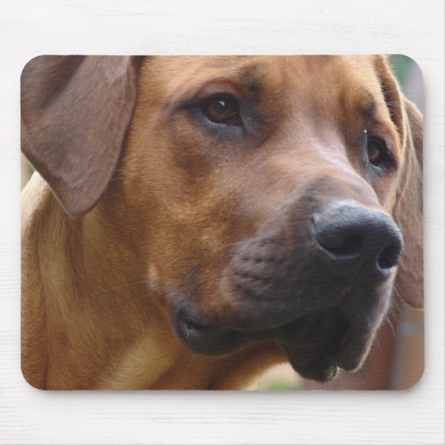 Mousepad Tapete do rato de Rhodesian Ridgeback (Frente)