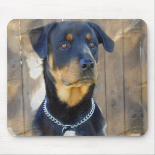 Mousepad Tapete do rato de Rottweiler