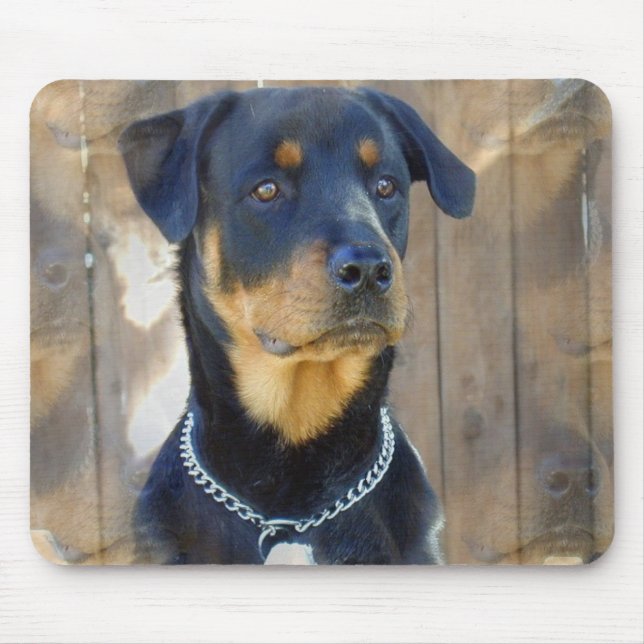 Mousepad Tapete do rato de Rottweiler (Frente)