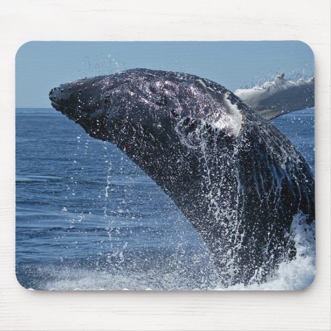Mousepad Tapete do rato de salto da baleia de Humpback (Frente)