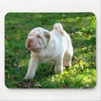 Mousepad Tapete do rato de Shar-pei
