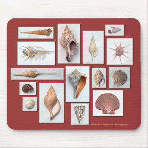 Mousepad Tapete do rato de Shell do mar