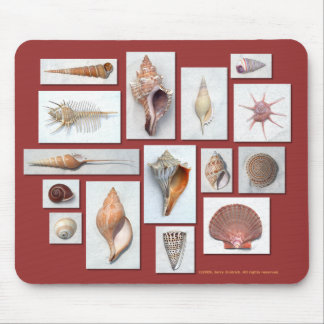 Mousepad Tapete do rato de Shell do mar