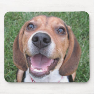 Mousepad Tapete do rato de sorriso do lebreiro