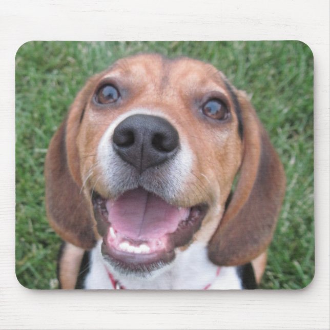 Mousepad Tapete do rato de sorriso do lebreiro (Frente)