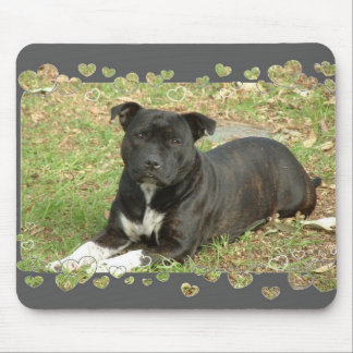 Mousepad Tapete do rato de Staffordshire bull terrier