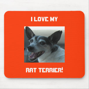 Mousepad Tapete do rato de Terrier de rato