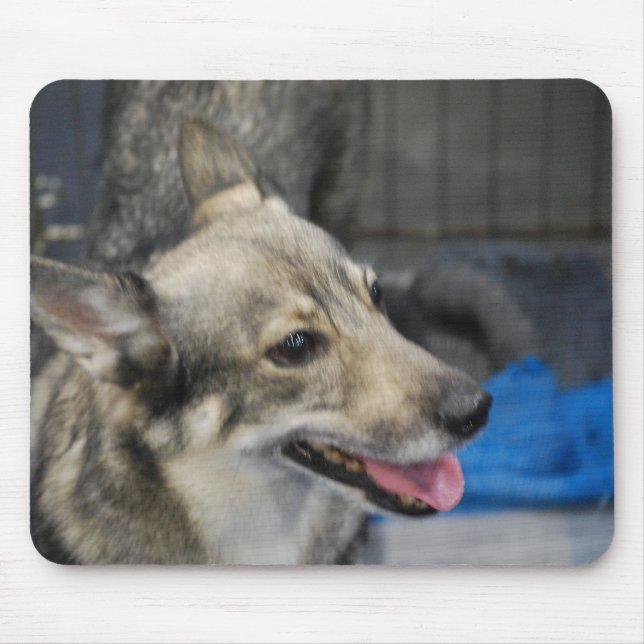 Mousepad Tapete do rato de Vallhund do sueco (Frente)