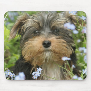 Mousepad Tapete do rato de York Terrier