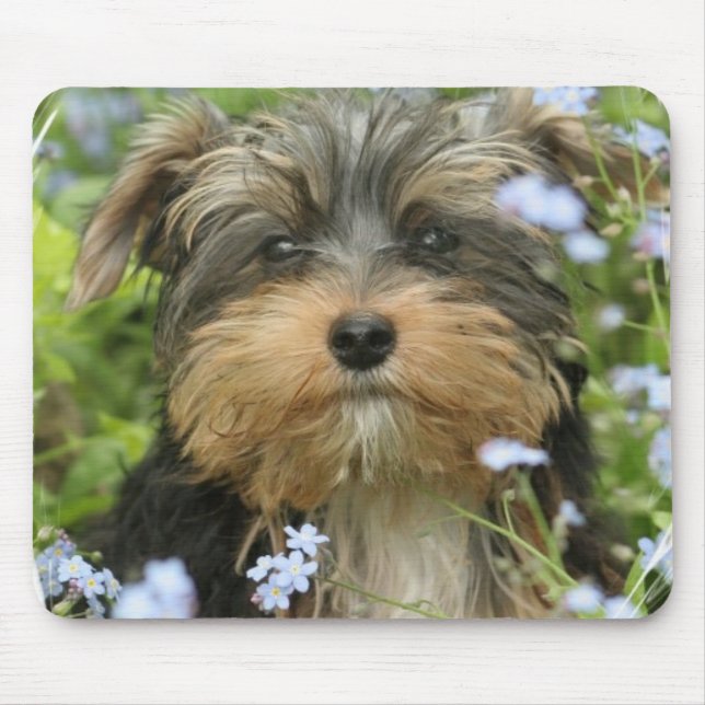Mousepad Tapete do rato de York Terrier (Frente)