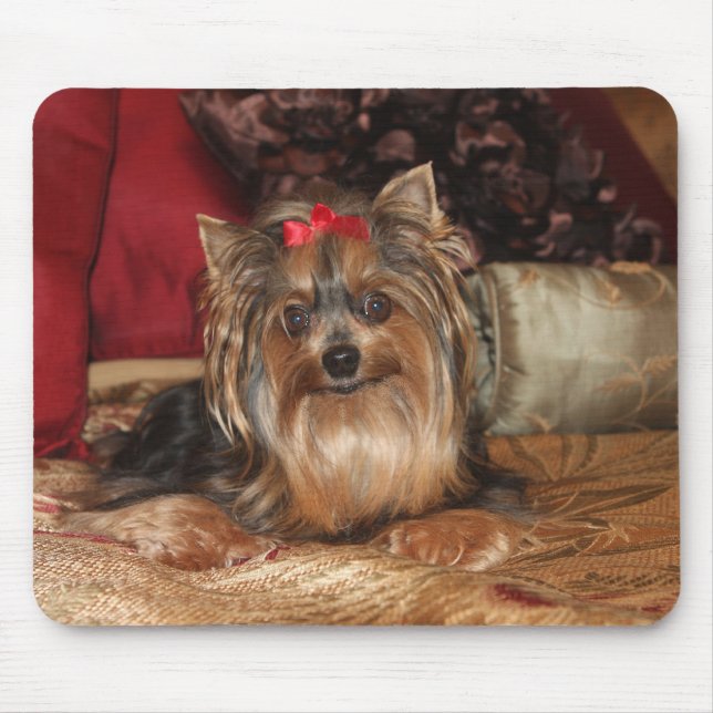 Mousepad Tapete do rato de Yorkie (Frente)