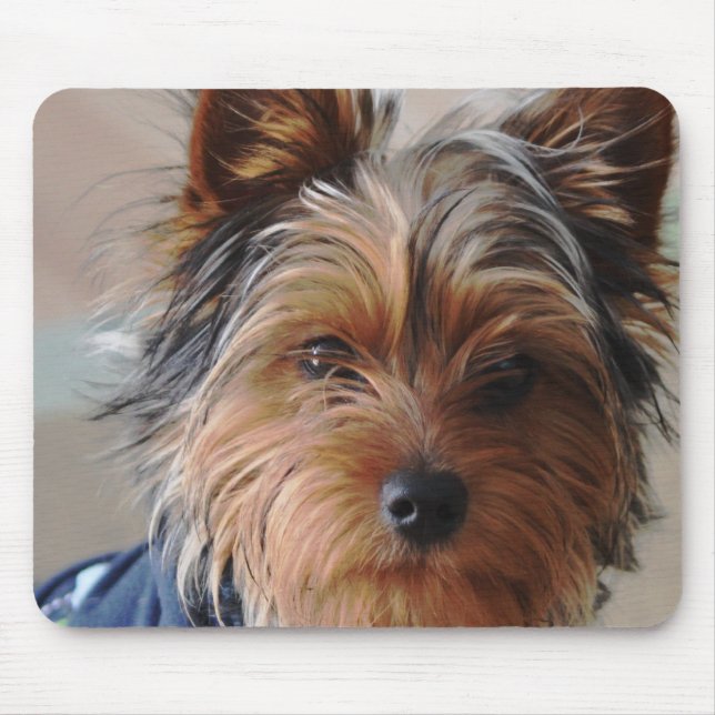 Mousepad Tapete do rato de Yorkie Terrier (Frente)