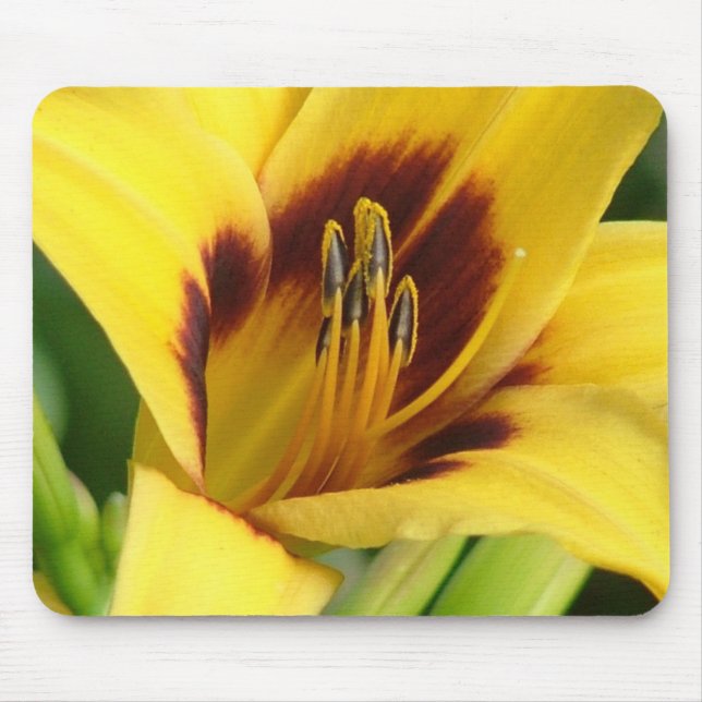 Mousepad Tapete do rato do amanhecer (Frente)