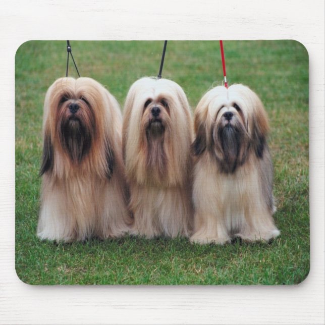 Mousepad Tapete do rato do apso de Lhasa (Frente)