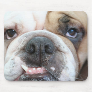 Mousepad Tapete do rato do buldogue